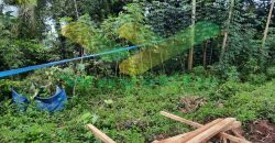 DIJUAL CEPAT TANAH CANTIK DAN MENARIK DAERAH MALALAYANG, HARGA SANGAT MURAH