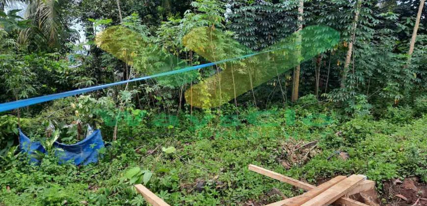 DIJUAL CEPAT TANAH CANTIK DAN MENARIK DAERAH MALALAYANG, HARGA SANGAT MURAH