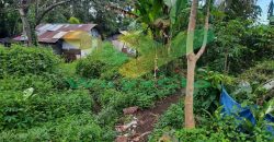 DIJUAL CEPAT TANAH CANTIK DAN MENARIK DAERAH MALALAYANG, HARGA SANGAT MURAH