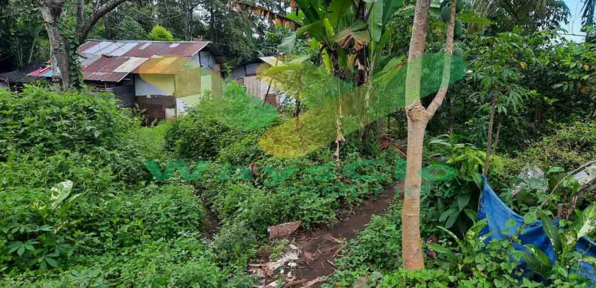 DIJUAL CEPAT TANAH CANTIK DAN MENARIK DAERAH MALALAYANG, HARGA SANGAT MURAH