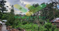 DIJUAL CEPAT TANAH CANTIK DAN MENARIK DAERAH MALALAYANG, HARGA SANGAT MURAH