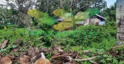 DIJUAL CEPAT TANAH CANTIK DAN MENARIK DAERAH MALALAYANG, HARGA SANGAT MURAH