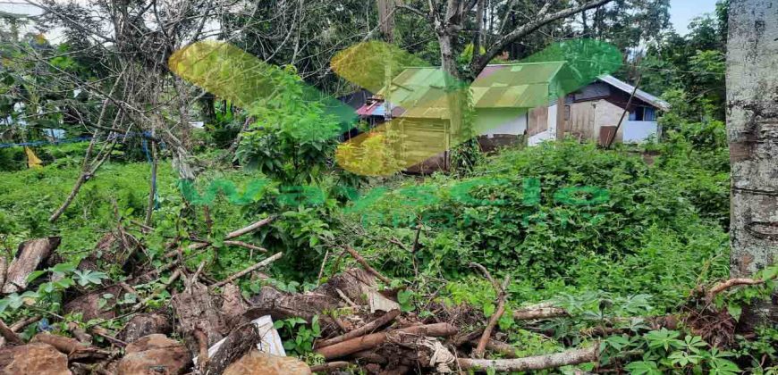 DIJUAL CEPAT TANAH CANTIK DAN MENARIK DAERAH MALALAYANG, HARGA SANGAT MURAH