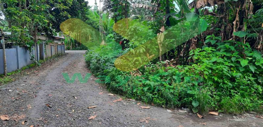 DIJUAL CEPAT TANAH CANTIK DAN MENARIK DAERAH MALALAYANG, HARGA SANGAT MURAH