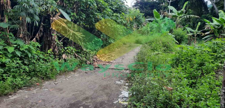 DIJUAL CEPAT TANAH CANTIK DAN MENARIK DAERAH MALALAYANG, HARGA SANGAT MURAH