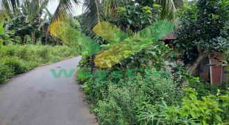 DIJUAL CEPAT TANAH CANTIK DAN MENARIK DAERAH MALALAYANG, HARGA SANGAT MURAH