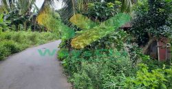 DIJUAL CEPAT TANAH CANTIK DAN MENARIK DAERAH MALALAYANG, HARGA SANGAT MURAH