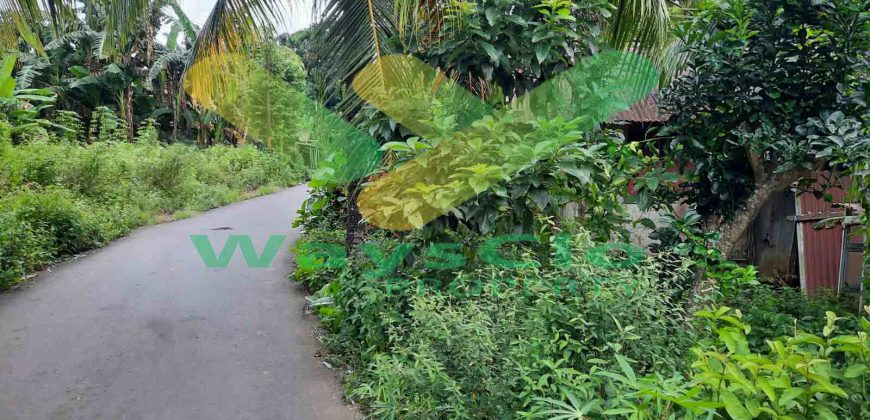 DIJUAL CEPAT TANAH CANTIK DAN MENARIK DAERAH MALALAYANG, HARGA SANGAT MURAH