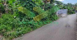 DIJUAL CEPAT TANAH CANTIK DAN MENARIK DAERAH MALALAYANG, HARGA SANGAT MURAH