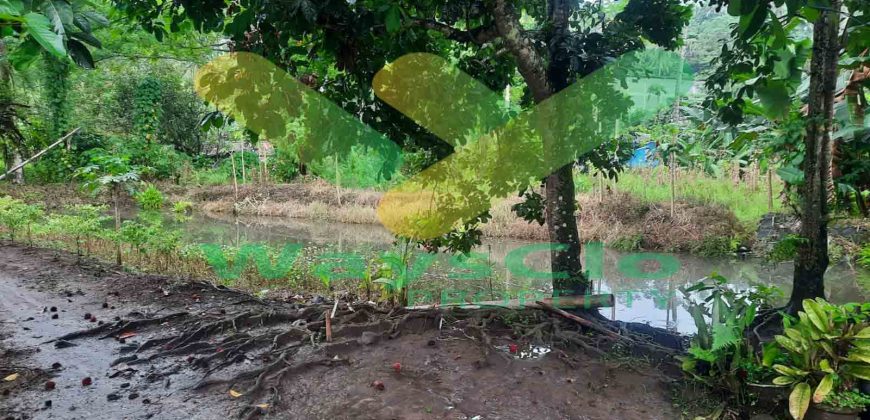 DIJUAL CEPAT TANAH SANGAT MURAH DAERAH SEA, HARGA DI BAWAH PASARAN