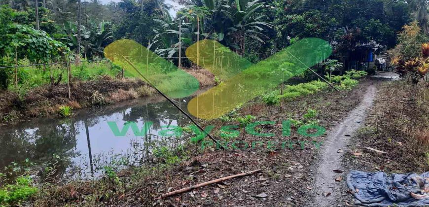 DIJUAL CEPAT TANAH SANGAT MURAH DAERAH SEA, HARGA DI BAWAH PASARAN
