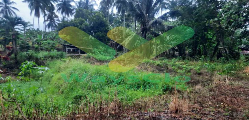 DIJUAL CEPAT TANAH SANGAT MURAH DAERAH SEA, HARGA DI BAWAH PASARAN