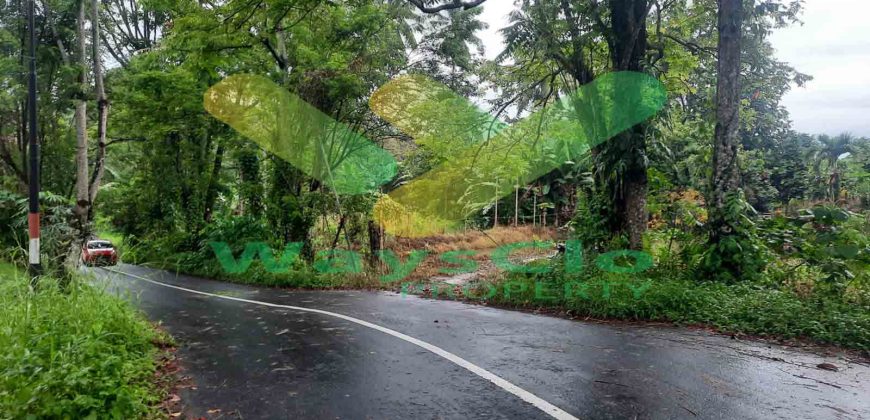 DIJUAL CEPAT TANAH SANGAT MURAH DAERAH SEA, HARGA DI BAWAH PASARAN