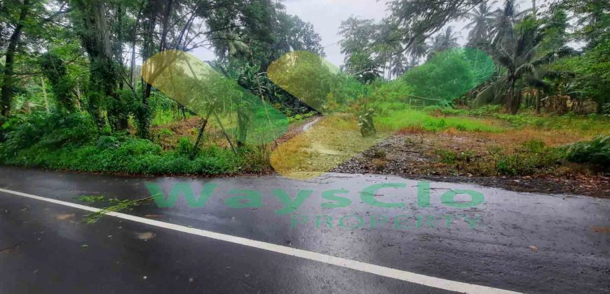 DIJUAL CEPAT TANAH SANGAT MURAH DAERAH SEA, HARGA DI BAWAH PASARAN