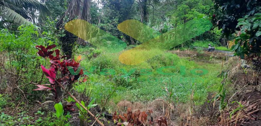 DIJUAL CEPAT TANAH SANGAT MURAH DAERAH SEA, HARGA DI BAWAH PASARAN
