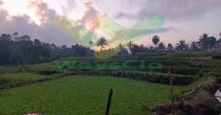 DI JUAL CEPAT TANAH CANTIK DAN MENARIK DAERAH TOMOHON, HARGA SANGAT MURAH
