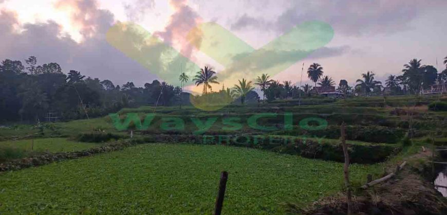 DI JUAL CEPAT TANAH CANTIK DAN MENARIK DAERAH TOMOHON, HARGA SANGAT MURAH
