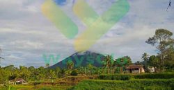 DI JUAL CEPAT TANAH CANTIK DAN MENARIK DAERAH TOMOHON, HARGA SANGAT MURAH