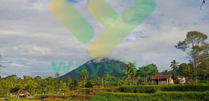 DI JUAL CEPAT TANAH CANTIK DAN MENARIK DAERAH TOMOHON, HARGA SANGAT MURAH