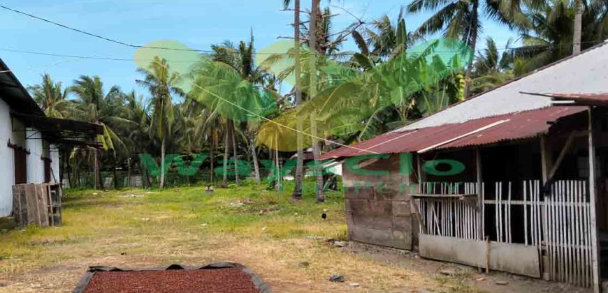 DIJUAL CEPAT TANAH MENARIK PLUS GUDANG DAERAH BITUNG, HARGA SANGAT MURAH